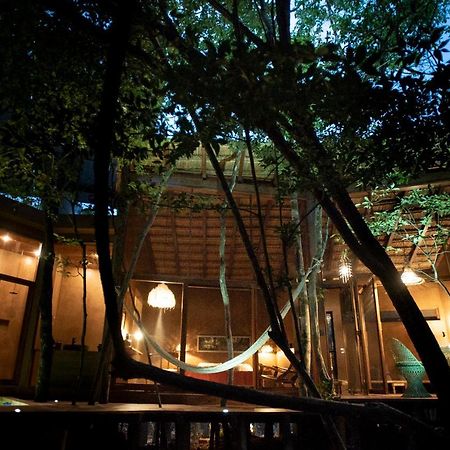 Ojo De Arbol, Boutique Cabin In The Real Jungle Tulum Eksteriør bilde