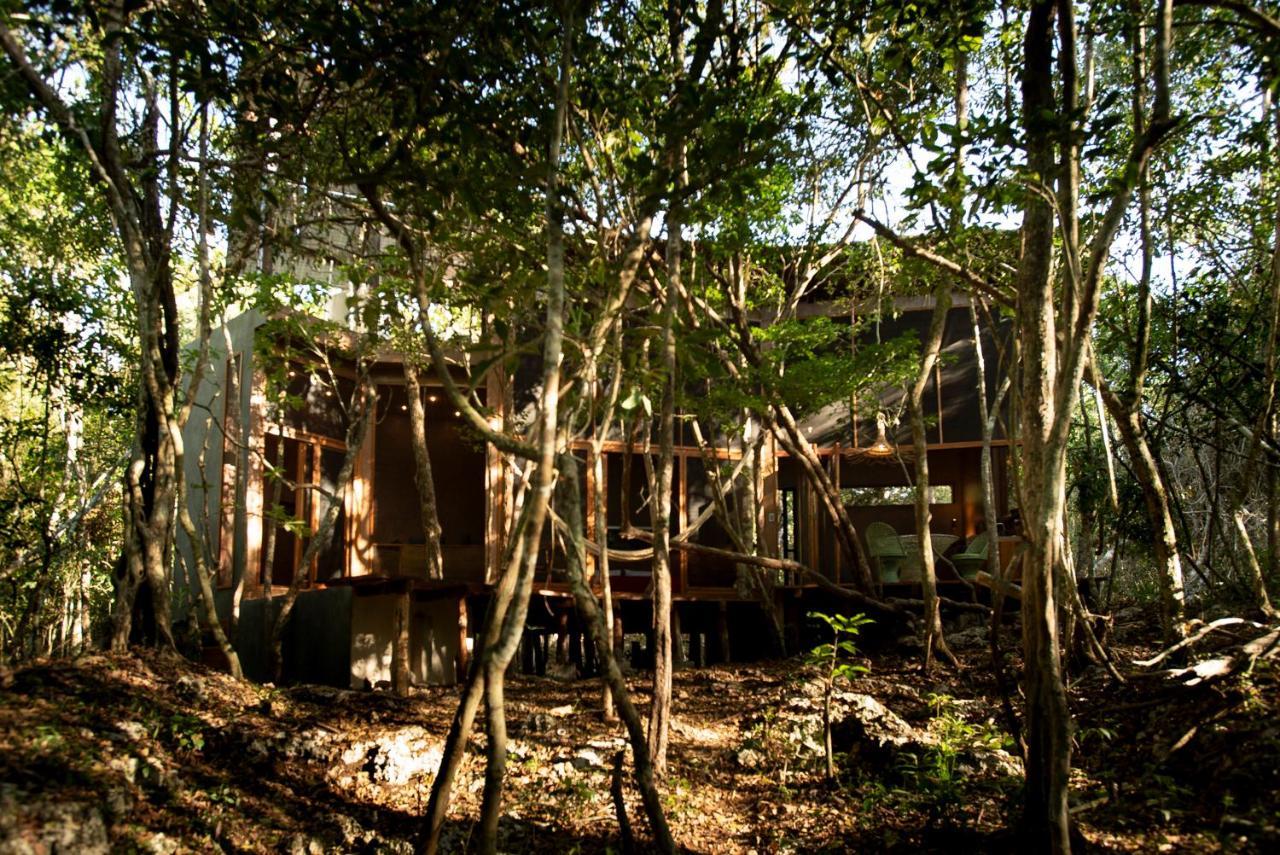 Ojo De Arbol, Boutique Cabin In The Real Jungle Tulum Eksteriør bilde
