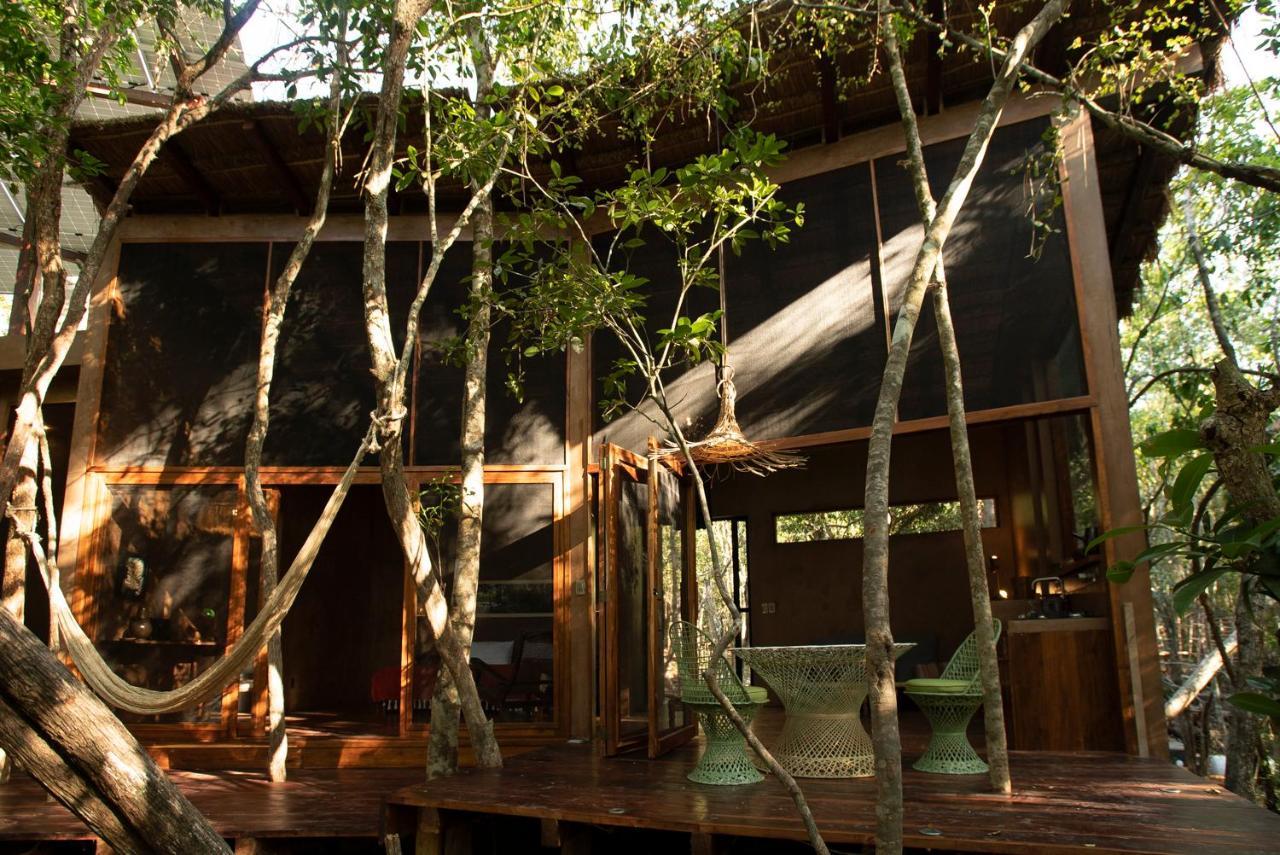 Ojo De Arbol, Boutique Cabin In The Real Jungle Tulum Eksteriør bilde