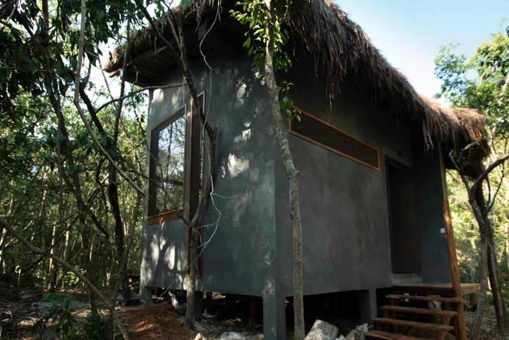 Ojo De Arbol, Boutique Cabin In The Real Jungle Tulum Eksteriør bilde