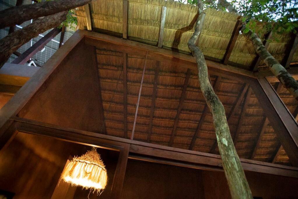 Ojo De Arbol, Boutique Cabin In The Real Jungle Tulum Eksteriør bilde