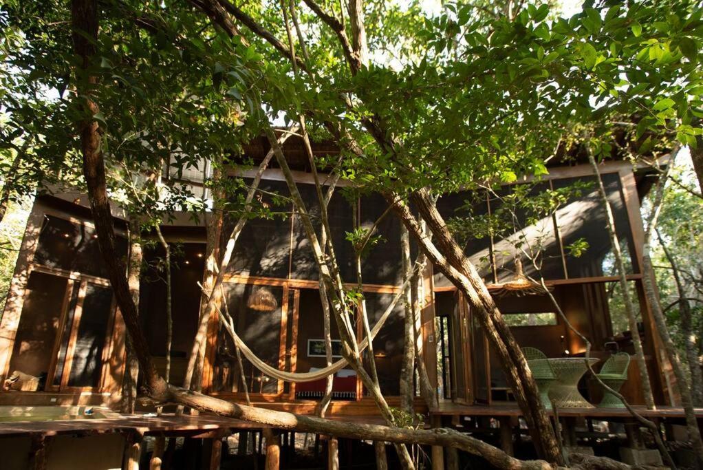 Ojo De Arbol, Boutique Cabin In The Real Jungle Tulum Eksteriør bilde